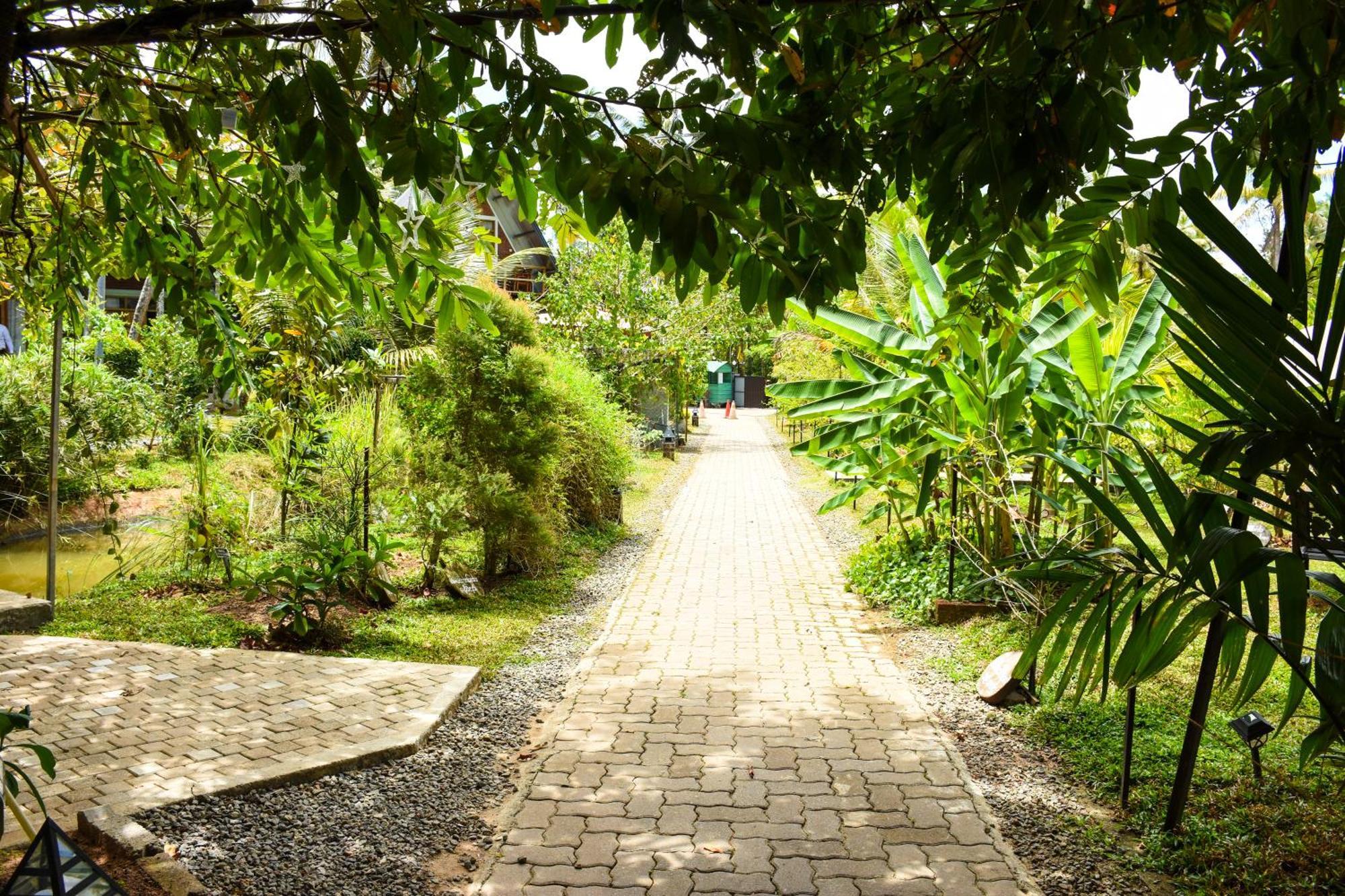 Steps Garden Resort Негомбо Екстер'єр фото